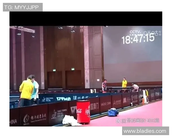 重庆排球队灵活性探讨：提升竞技水平与战术应变能力的关键因素